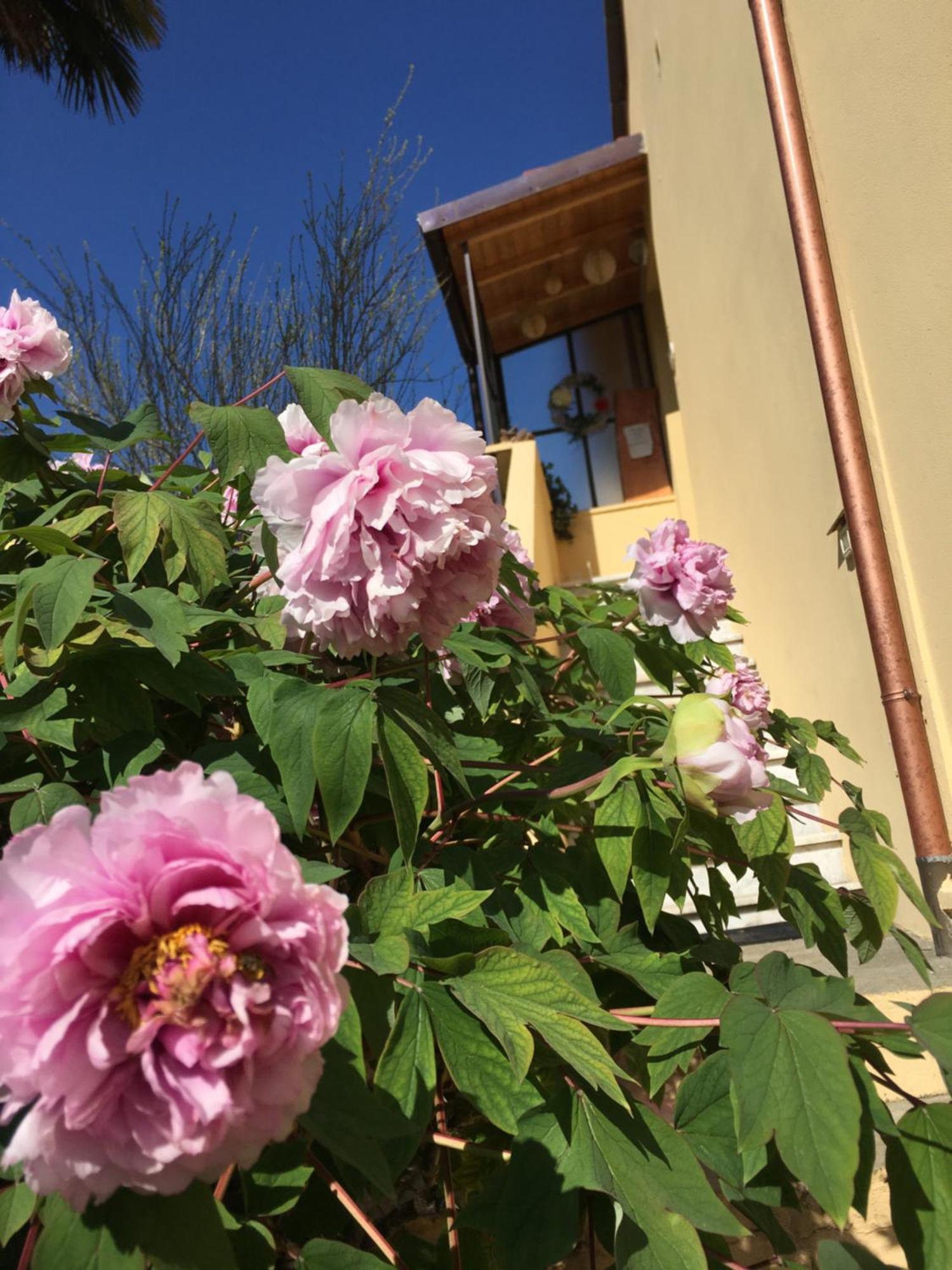 Hotel Ai Cinque Campanili Finale Ligure Exterior foto
